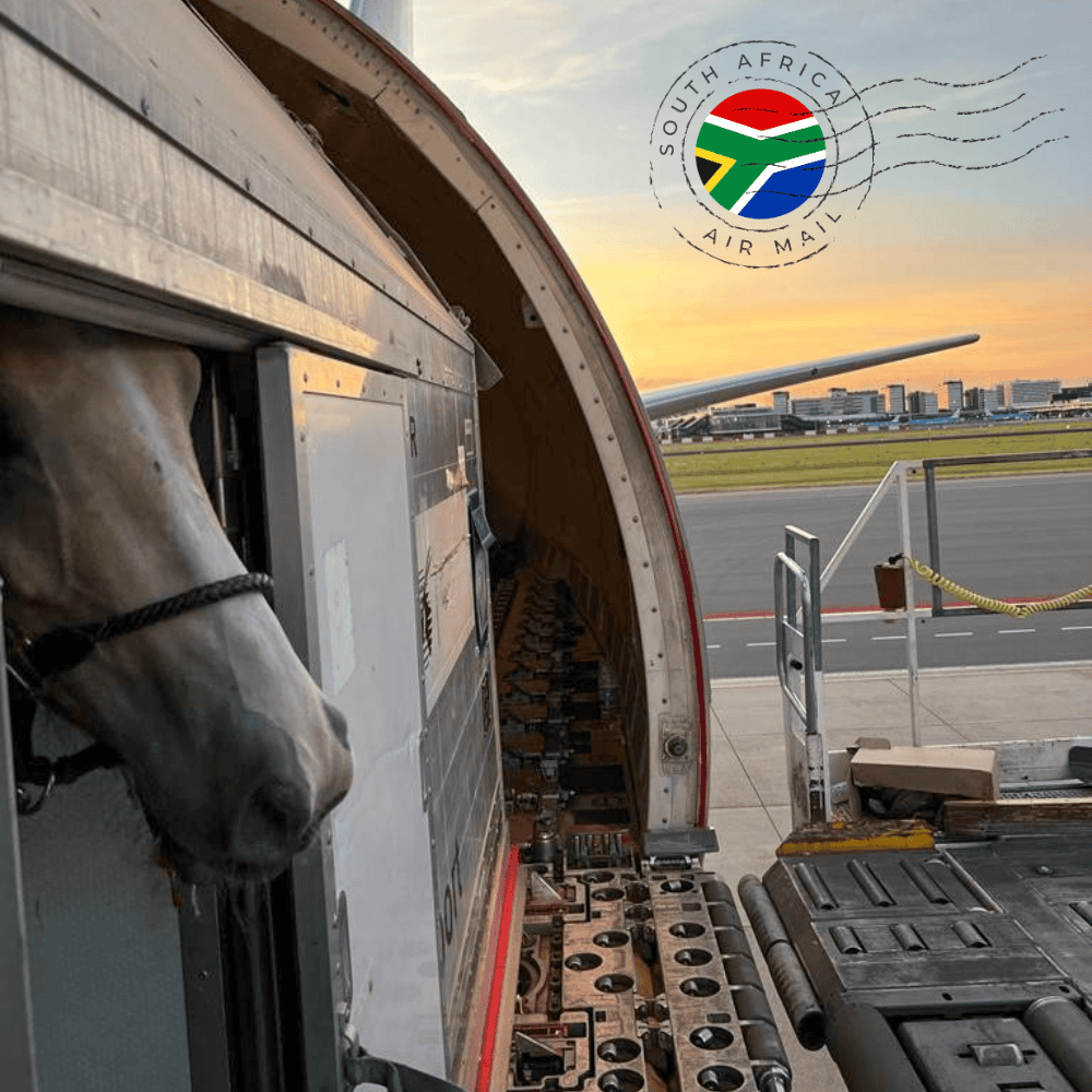 Amstel Horse Hotel Holland (1)